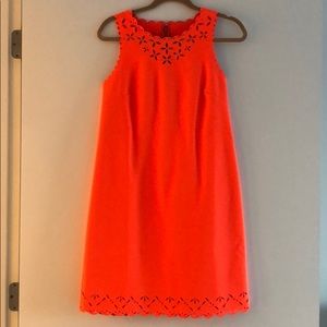New with tags J.Crew Shift Dress!